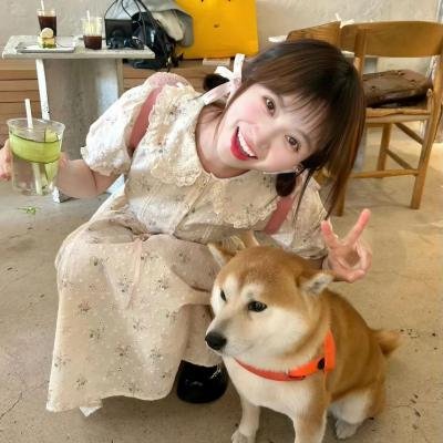 法医秦明之幸存者